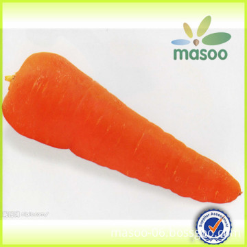 2014 new crop fresh carrot supplier yellow fresh carrot for sale import fresh carrot